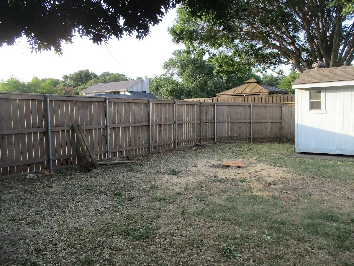 Cleared yard after professional tree removal in Parkers Lake